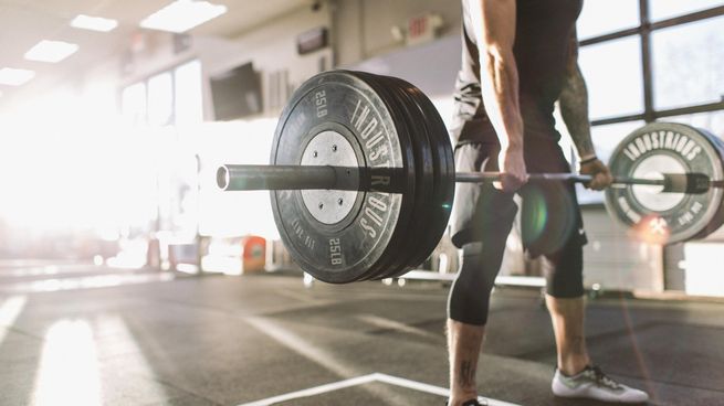 Citrato de Enclomifeno en Musculación